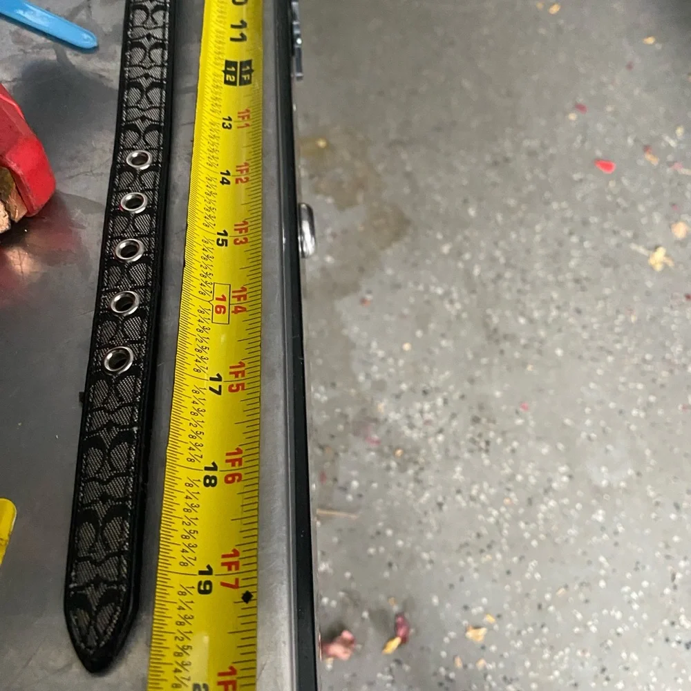 Coach Dog leash and collar